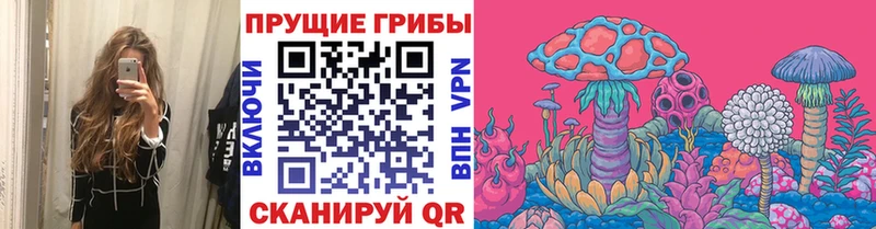 Галлюциногенные грибы Cubensis  Славянск-на-Кубани 